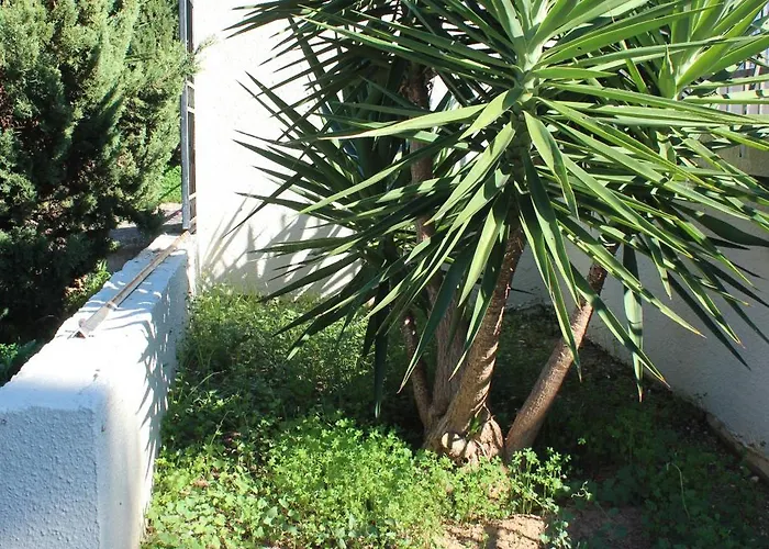 דירה Emeli, Close To Beaches And Downtown פורטו הלי