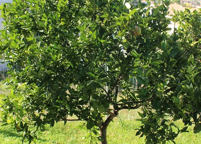 Emeli, Close To Beaches And Downtown