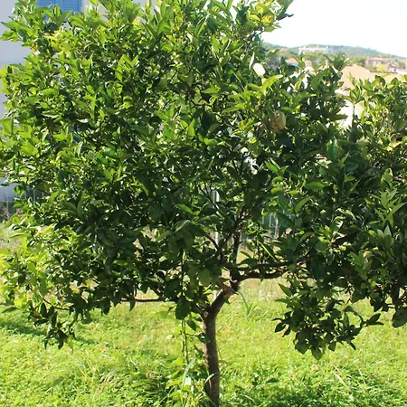 Emeli, Close To Beaches And Downtown