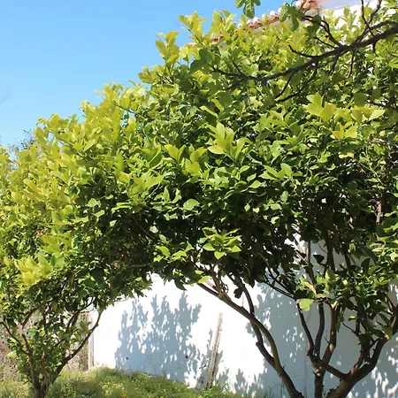 Διαμέρισμα Emeli, Close To Beaches And Downtown