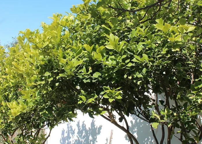 Lejlighed Emeli, Close To Beaches And Downtown